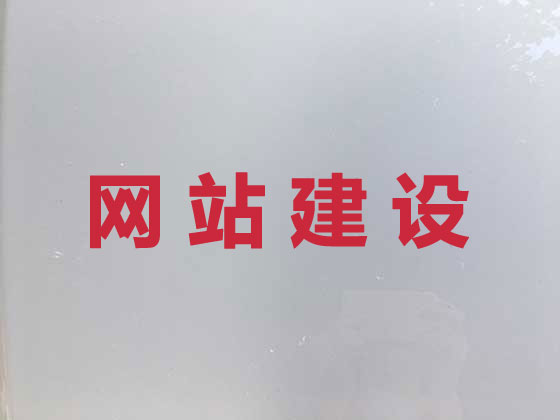 莱芜区网站开发建设